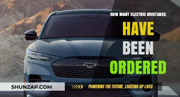 Electric Mustang Orders: How Many So Far?