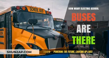 Electric School Buses: How Many Are on the Roads?