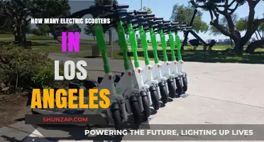 Electric Scooters Flood Los Angeles: How Many Are There?