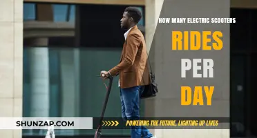 Exploring the Daily Usage of Electric Scooters