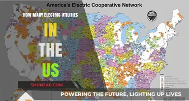 Electric Utilities in the US: A Complex Landscape