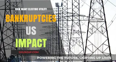 Electric Utility Bankruptcies: Impact on the US Economy