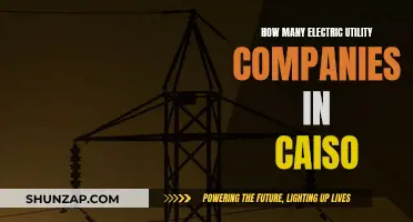 Electric Utility Companies in CAISO: Exploring the Competitive Landscape