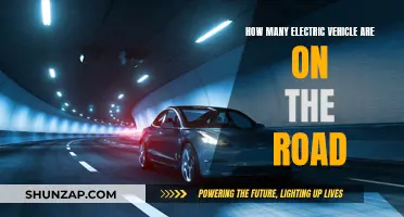 The Global Shift: Counting Electric Vehicles on the Road