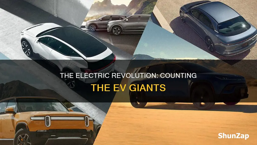 how many electric vehicle companies are there