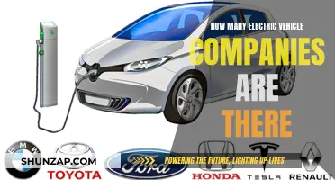 The Rise of Electric Vehicles: Counting the Companies