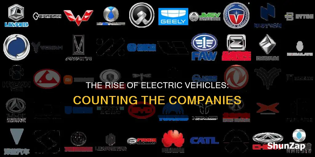 how many electric vehicle companies are there