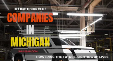 Exploring Michigan's Electric Vehicle Revolution: A Company Count