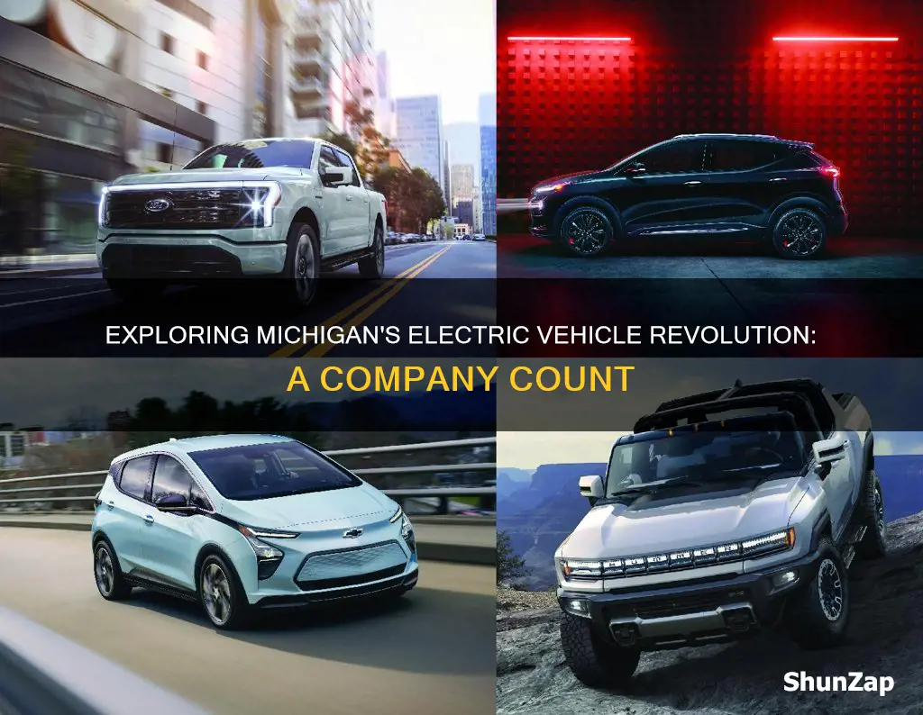 how many electric vehicle companies in michigan