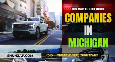 Michigan's Electric Vehicle Companies: A Growing List
