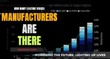 The Electric Revolution: Counting the EV Manufacturers