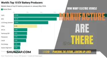 The Rise of Electric Vehicles: A Competitive Market Emerges