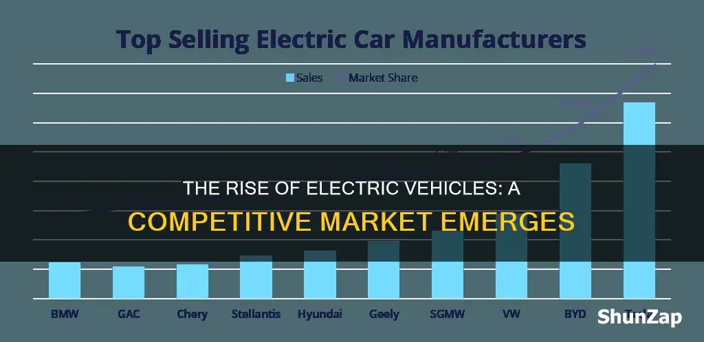 how many electric vehicle manufacturers are there