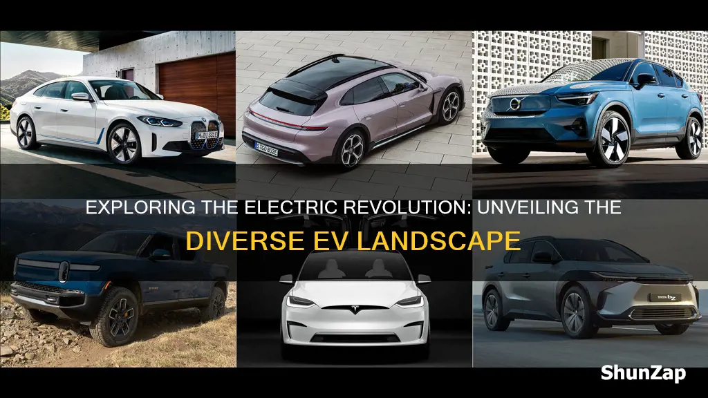 how many electric vehicle models are there