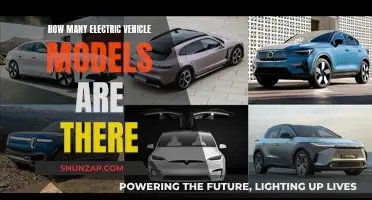 The Diverse World of Electric Vehicles: Exploring Countless Models