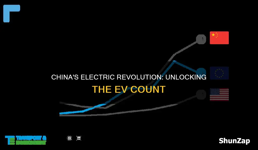 how many electric vehicles are in china