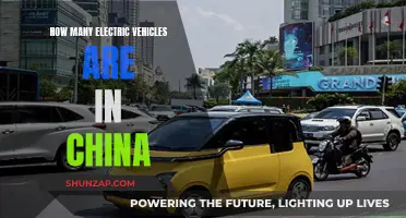 China's Electric Vehicle Revolution: Counting the Numbers