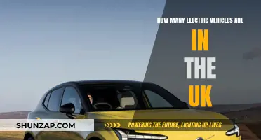 UK's Electric Vehicle Revolution: Counting the Cars