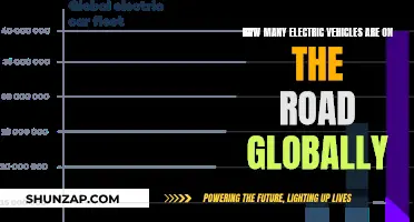 Global Electric Vehicle Revolution: A Count of the Electric Fleet