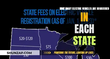 Electric Vehicle Registration: State-by-State Breakdown Reveals Regional Trends