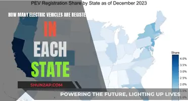 Electric Vehicle Registrations: State-by-State Breakdown