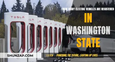 Electric Vehicle Revolution: Washington State's Growing EV Fleet