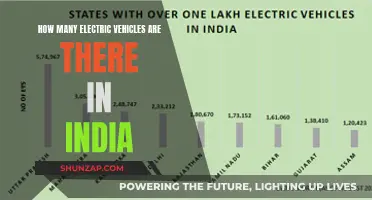 India's Electric Revolution: Unlocking the Full Potential of EVs