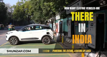Electric Vehicles in India: Current State and Future Prospects