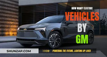 GM's Electric Fleet: Exploring the Numbers and Models