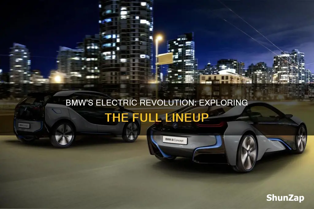 how many electric vehicles does bmw have