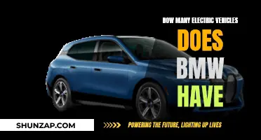 BMW's Electric Vehicle Lineup: A Comprehensive Overview
