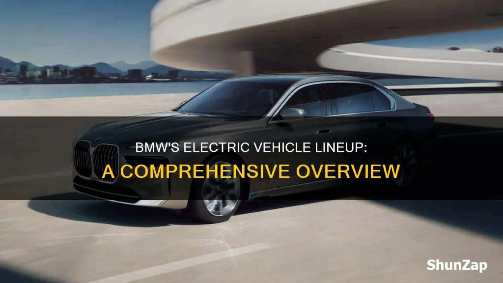 how many electric vehicles does bmw have