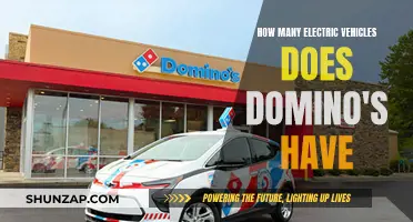 Dominos' Electric Fleet: Unveiling the Green Revolution