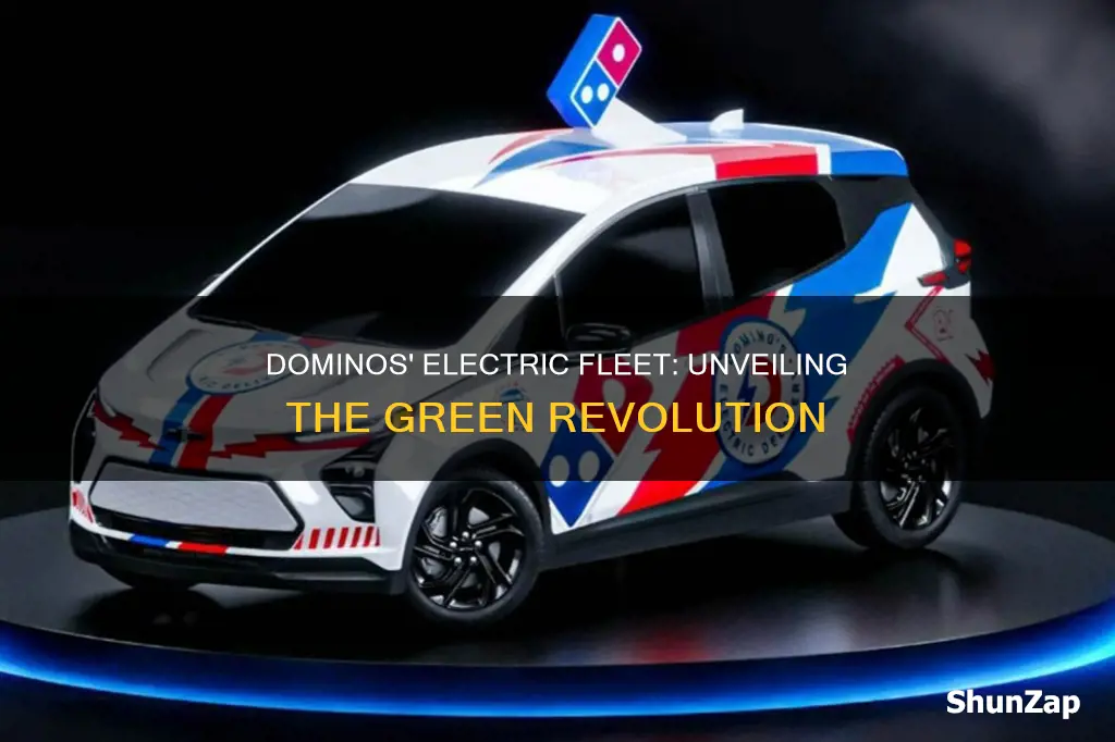 how many electric vehicles does domino