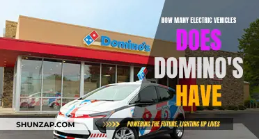 Domino's Electric Fleet: Transforming Pizza Delivery