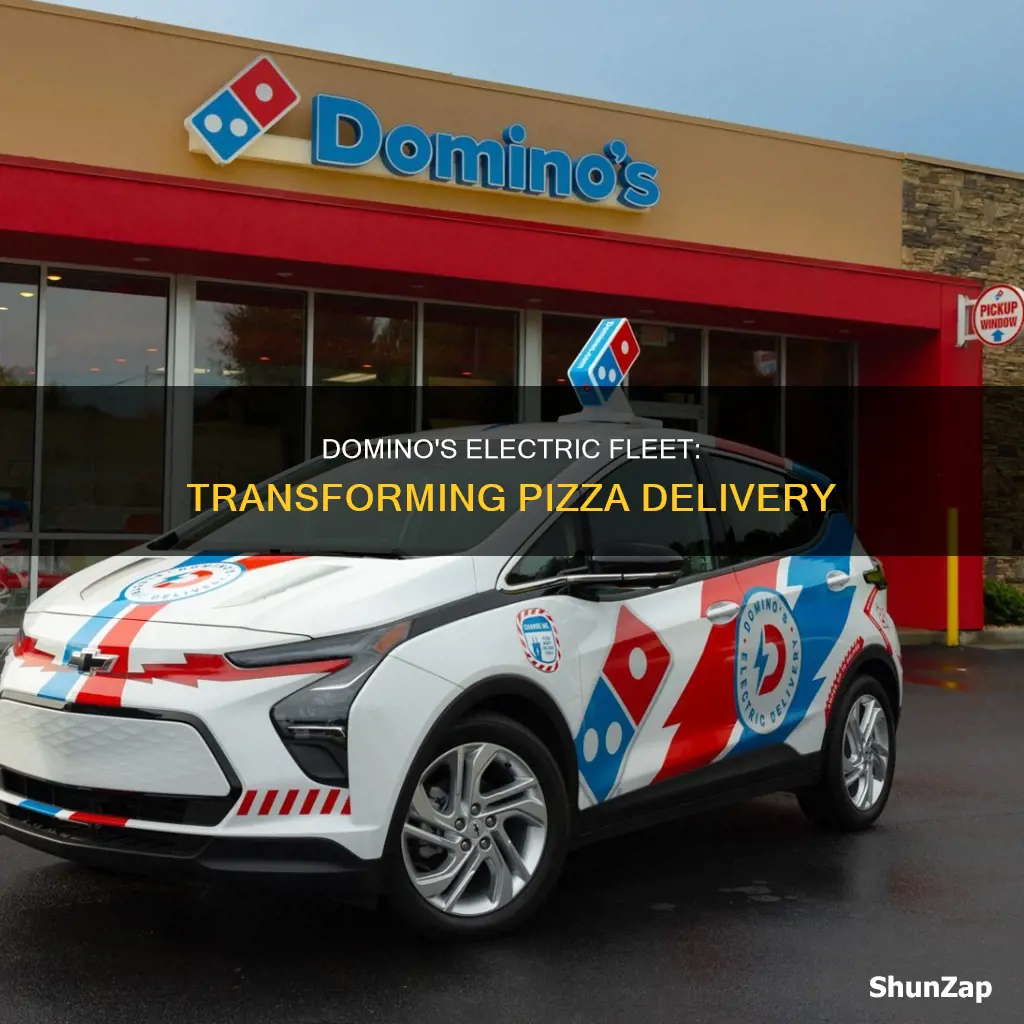 how many electric vehicles does domino