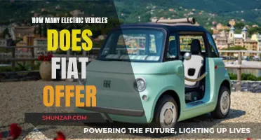 Explore the Range: How Many EVs Does Fiat Offer?