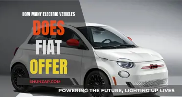 Fiat's Electric Vehicle Lineup: How Many Models Are Offered?