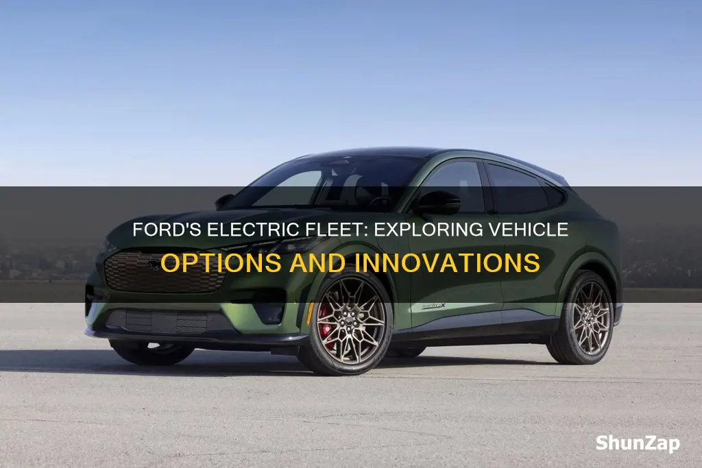 how many electric vehicles does ford have