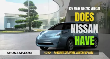 Nissans Electric Future: Exploring the Range of EVs