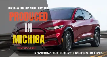 Ford's Electric Vehicle Production in Michigan: A Count