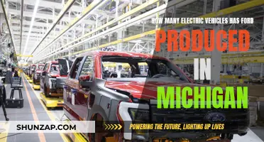 Ford's Michigan EV Revolution: A Production Story