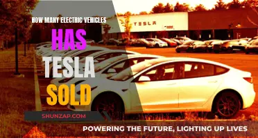 The Electric Revolution: Tesla's EV Sales Performance