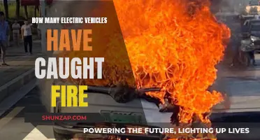 Electric Vehicle Fire Incidents: A Growing Concern