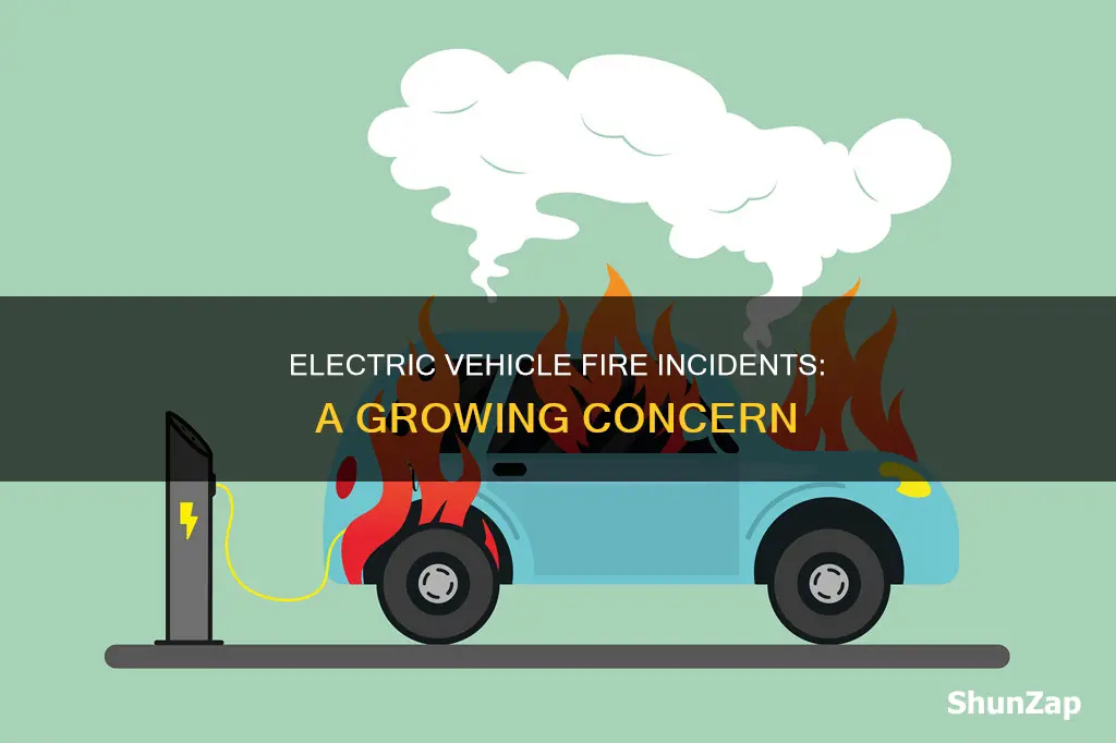 how many electric vehicles have caught fire