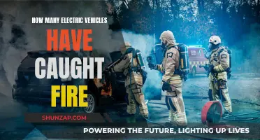 Electric Vehicle Fires: Counting the Incidents and Understanding the Risks