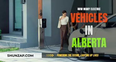 Electric Vehicles in Alberta: Counting the Green Revolution