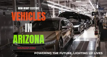 Arizona's Electric Vehicle Revolution: A Growing Green Fleet