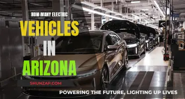 Arizona's Electric Vehicle Revolution: Counting the Green Cars