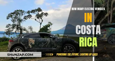 Costa Rica's Electric Revolution: Counting the Green Cars